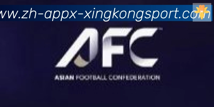 星空体育app合作伙伴